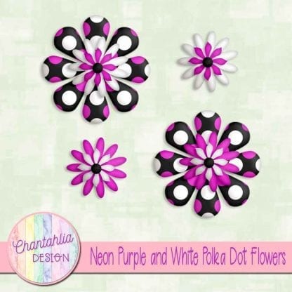 neon purple and white polka dot flowers