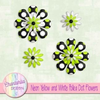 neon yellow and white polka dot flowers