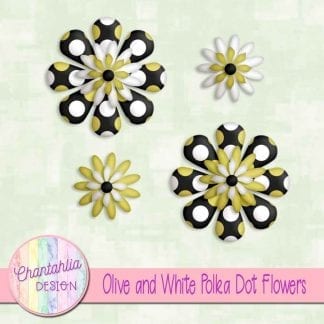 olive and white polka dot flowers