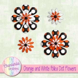 orange and white polka dot flowers