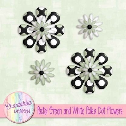 pastel green and white polka dot flowers
