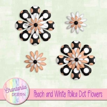 peach and white polka dot flowers