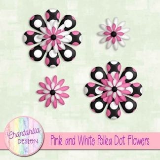 pink and white polka dot flowers