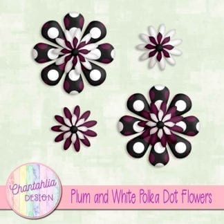 plum and white polka dot flowers