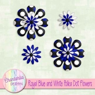 royal blue and white polka dot flowers