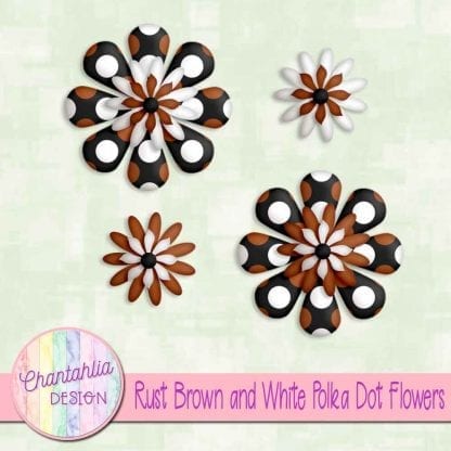 rust brown and white polka dot flowers