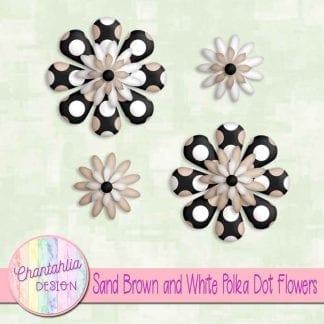 sand brown and white polka dot flowers