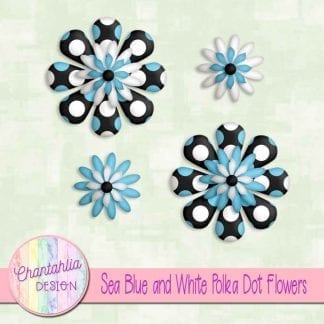 sea blue and white polka dot flowers