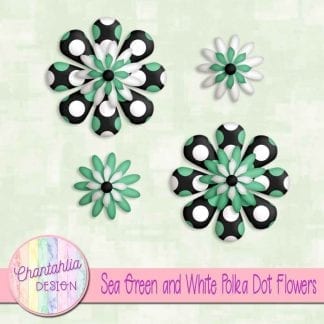 sea green and white polka dot flowers