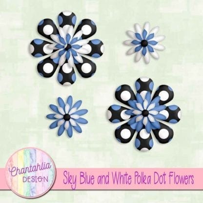 sky blue and white polka dot flowers