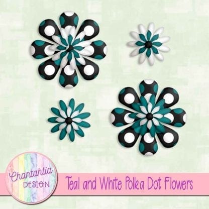 teal and white polka dot flowers