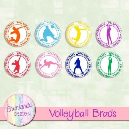 free volleyball brads