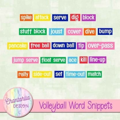free volleyball word snippets