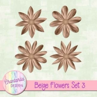 Free beige flowers design elements