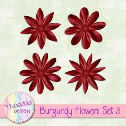 Free burgundy flowers design elements with intant download