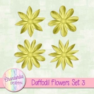 Free daffodil flowers design elements with intant download