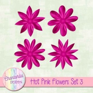 Free hot pink flowers design elements