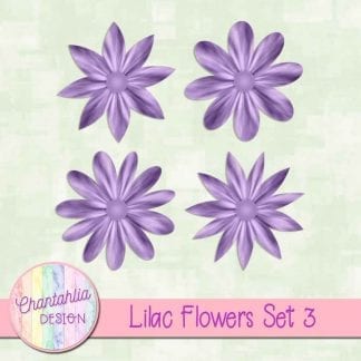 Free llilac flowers design elements