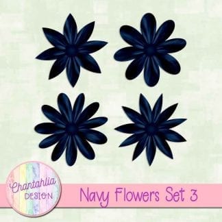 Free navy flowers design elements