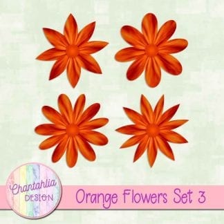 Free orange flowers design elements