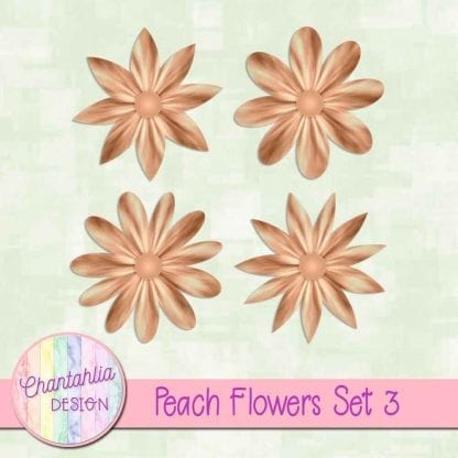 Free peach flowers design elements