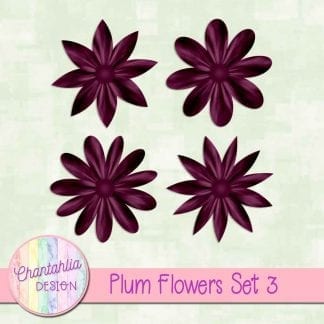 Free plum flowers design elements