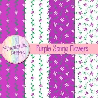 Free digital paper with purple spring flower designs