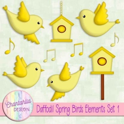 Free daffodil spring birds design elements