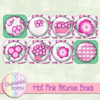 free hot pink petunias brads