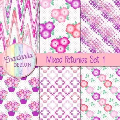 Free mixed colour petunias digital papers