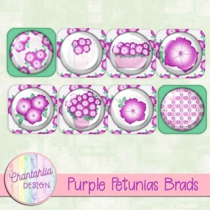 Free purple petunias brads