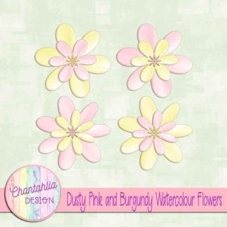 free dusty pink and burgundy watercolour flowers
