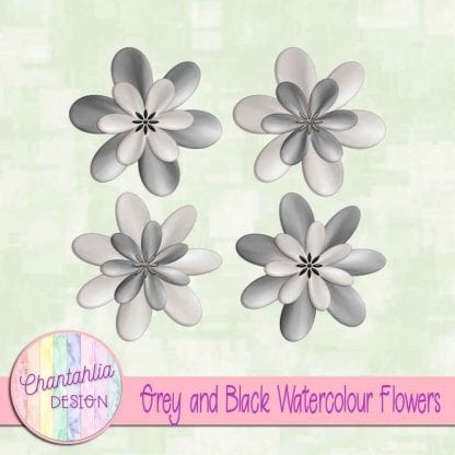 free grey and black watercolour flowers