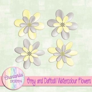 free grey and daffodil watercolour flowers