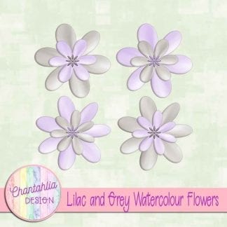 free lilac and grey watercolour flowers
