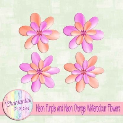 free neon purple and neon orange watercolour flowers