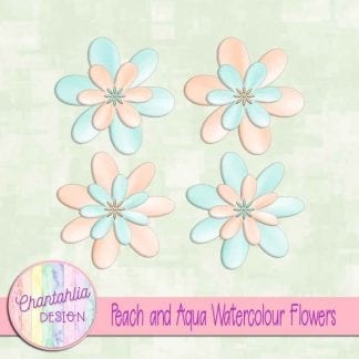 free peach and aqua watercolour flowers