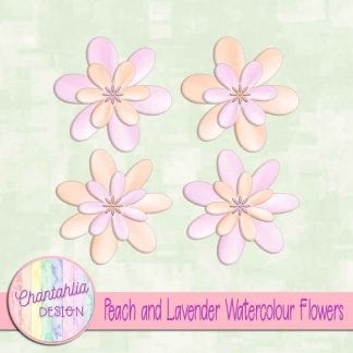 Free peach and lavender watercolour flowers