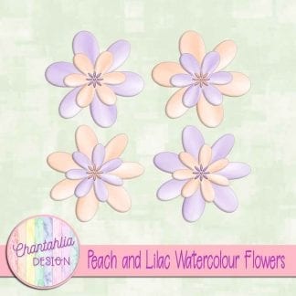 free peach and lilac watercolour flowers