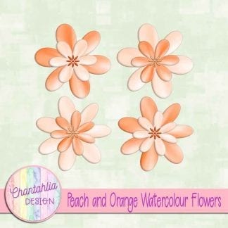 free peach and orange watercolour flowers