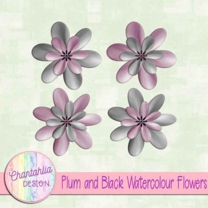 free plum and black watercolour flowers