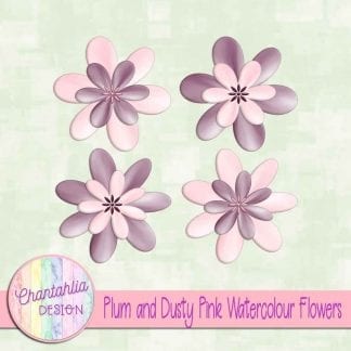 free plum and dusty pink watercolour flowers