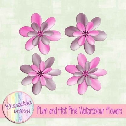 free plum and hot pink watercolour flowers