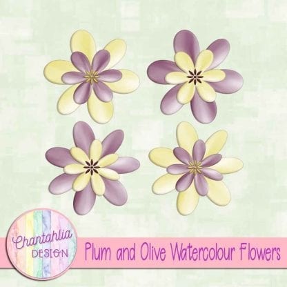 free plum and olive watercolour flowers