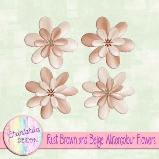 free rust brown and beige watercolour flowers