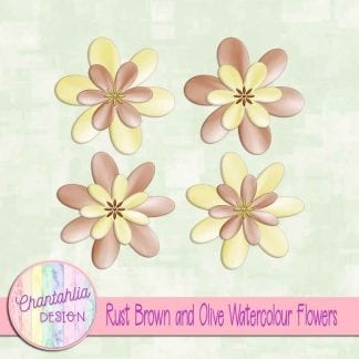 free rust brown and olive watercolour flowers