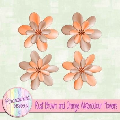 free rust brown and orange watercolour flowers