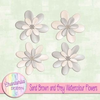 free sand brown and grey watercolour flowers