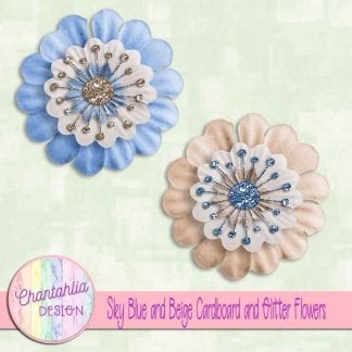 free sky blue and beige cardboard and glitter flowers