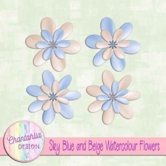 free sky blue and beige watercolour flowers